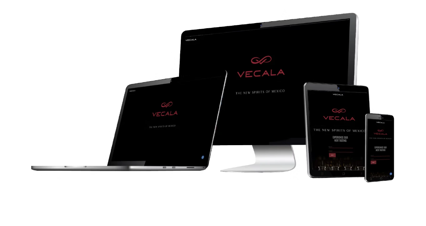 Website-devices_Vecala-png
