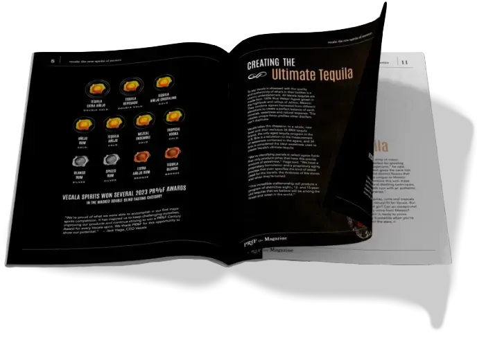 brand book 1